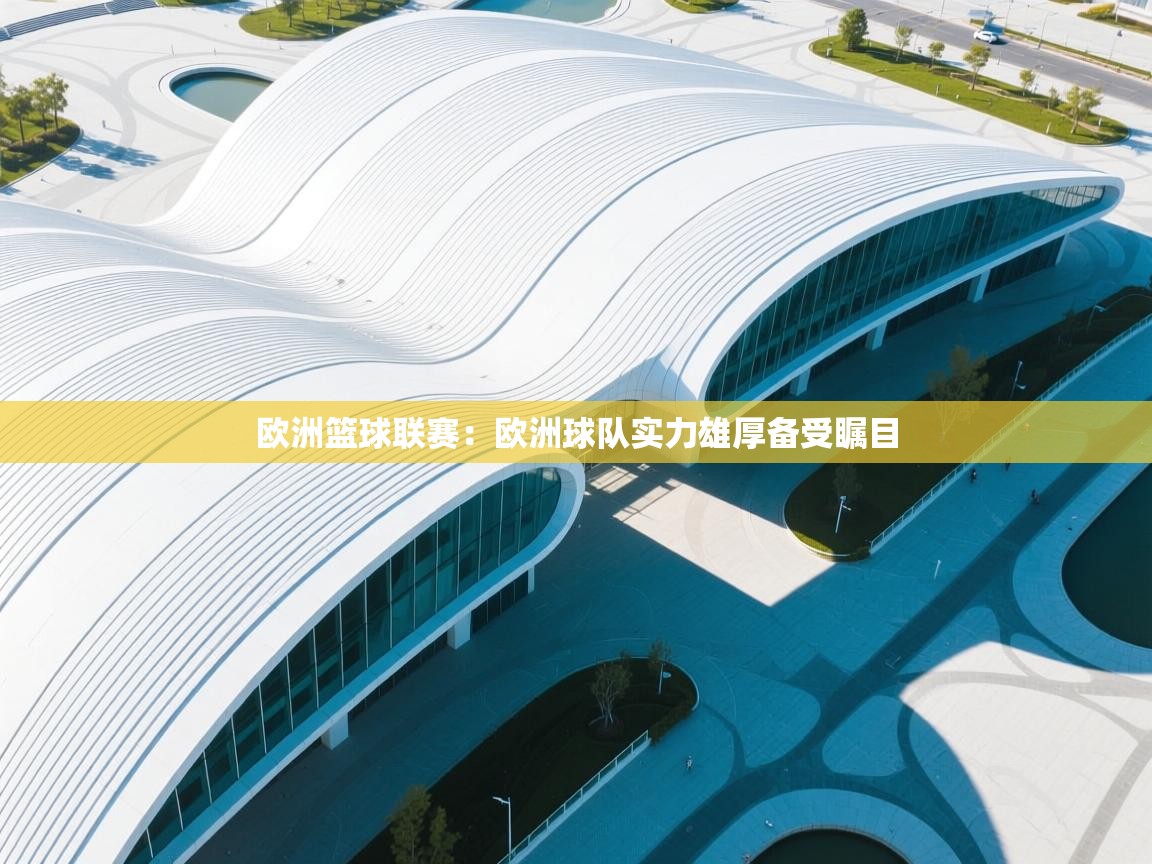 欧洲篮球联赛：欧洲球队实力雄厚备受瞩目  第2张