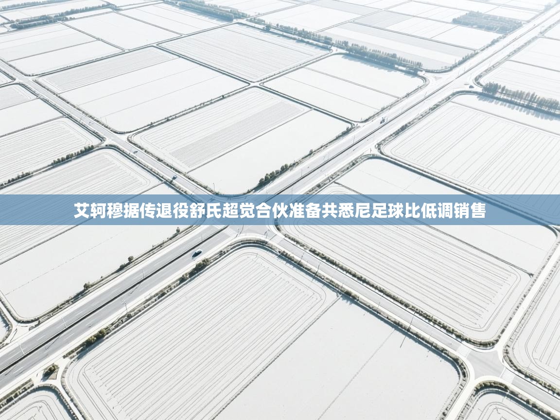 艾轲穆据传退役舒氏超觉合伙准备共悉尼足球比低调销售  第1张